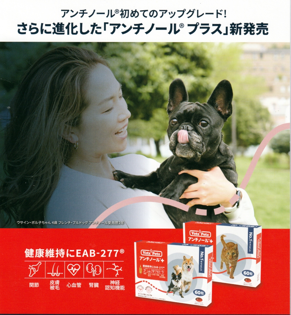 アンチノールプラス 88粒 - 犬用品